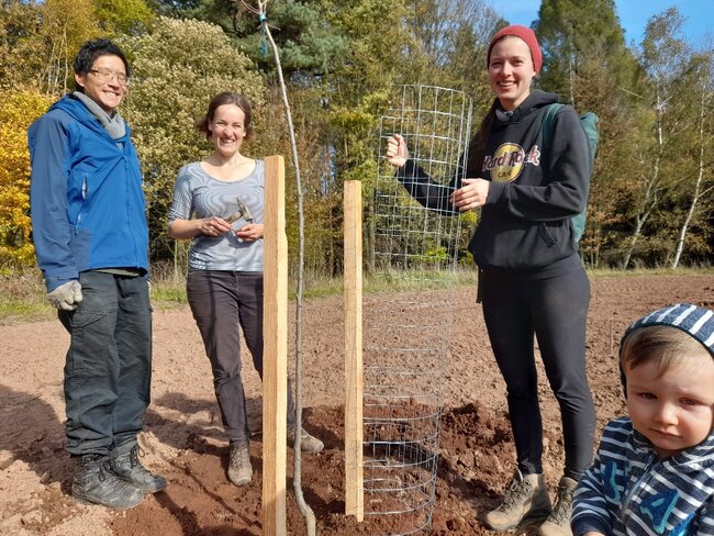 Podzimní sázení ve Vernéřovicích: téměř stovka ovocných stromů
