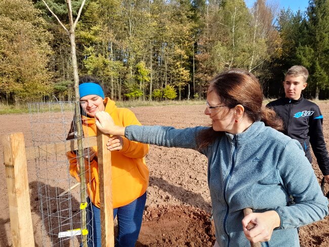 Podzimní sázení ve Vernéřovicích: téměř stovka ovocných stromů