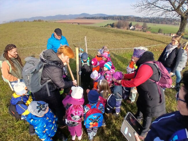 Děti adoptovaly dvě třešně v Hejtmánkovicích