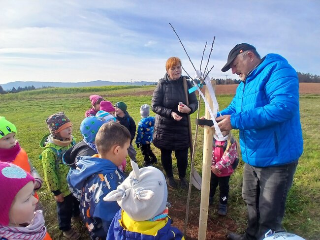 Děti adoptovaly dvě třešně v Hejtmánkovicích