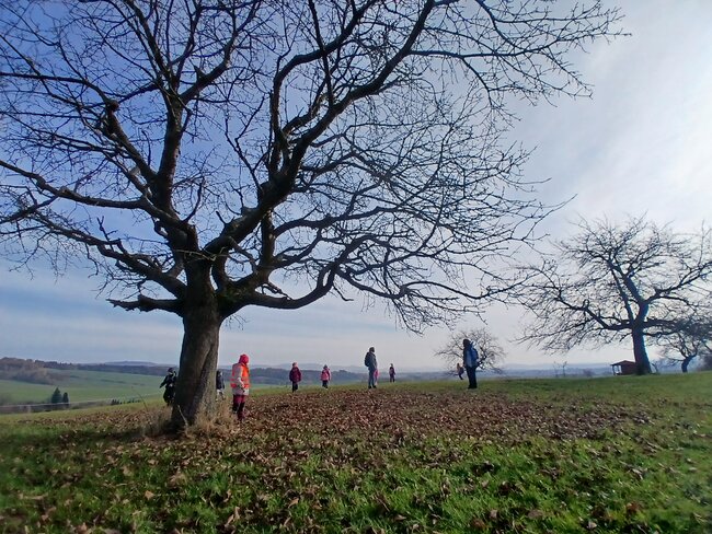 Děti adoptovaly dvě třešně v Hejtmánkovicích