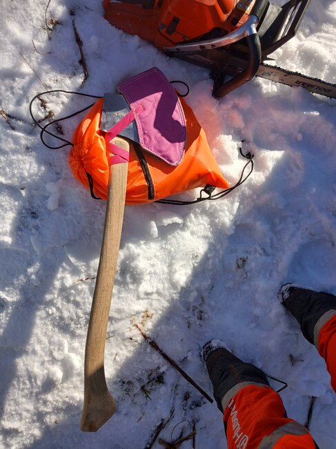 OBRAZEM: Titul Dřevorubce roku putuje na Slovensko