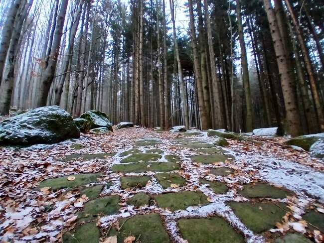 Soví hrádek stráží hory nad Machovem