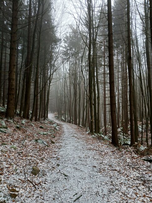Soví hrádek stráží hory nad Machovem