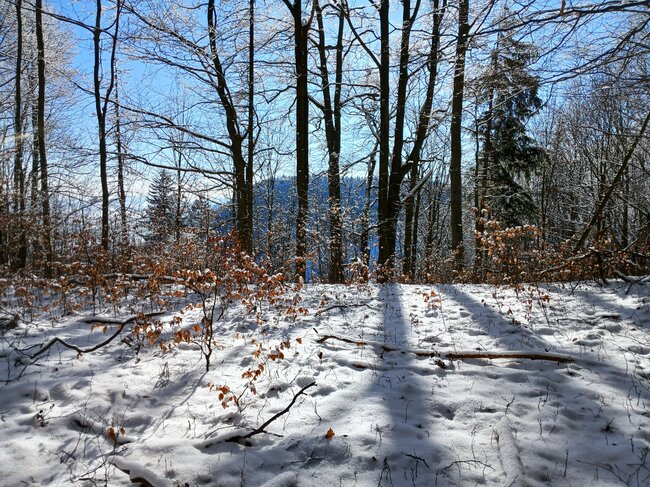 Do lesních komnat hradu Hornšperk