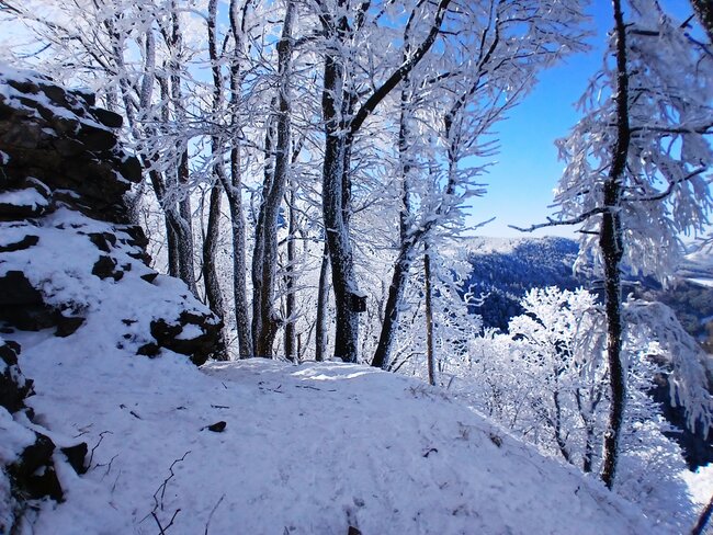 Do lesních komnat hradu Hornšperk