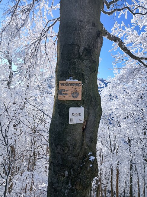 Do lesních komnat hradu Hornšperk