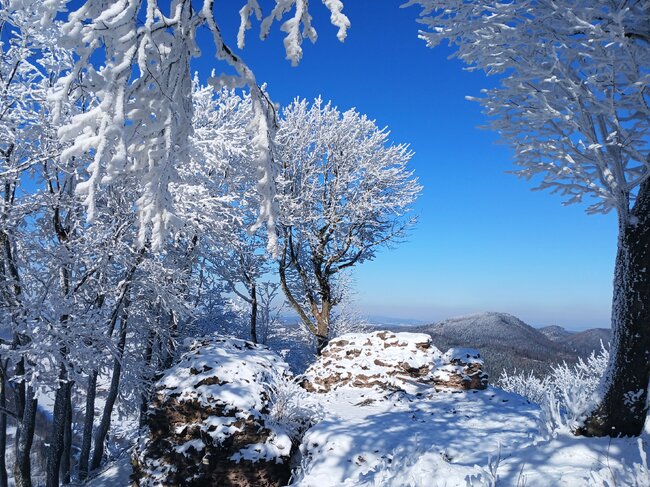 Do lesních komnat hradu Hornšperk