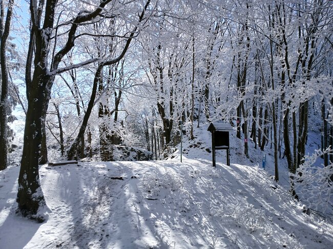 Do lesních komnat hradu Hornšperk