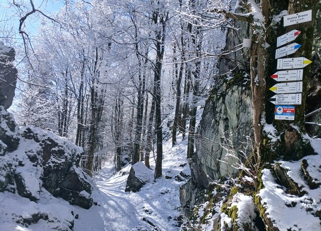 Do lesních komnat hradu Hornšperk