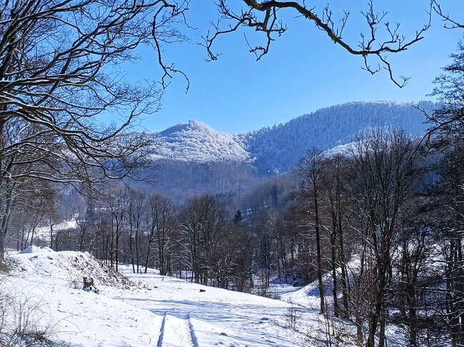 Do lesních komnat hradu Hornšperk