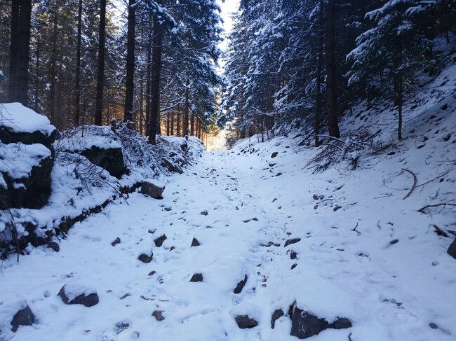 Božanov opraví cestu k Machovskému kříži