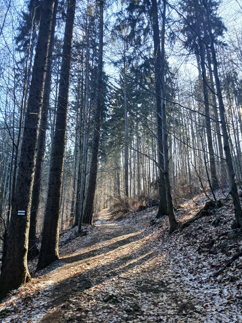Za vambeřickým Poutníkem a skalními hřiby