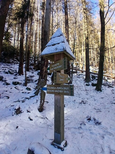 Za vambeřickým Poutníkem a skalními hřiby