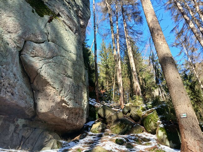 Za vambeřickým Poutníkem a skalními hřiby
