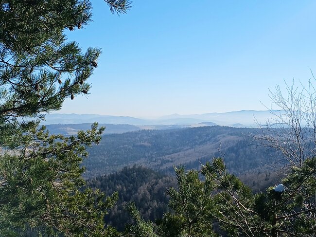 Za vambeřickým Poutníkem a skalními hřiby