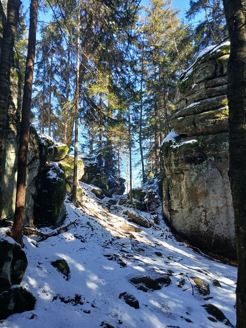 Za vambeřickým Poutníkem a skalními hřiby