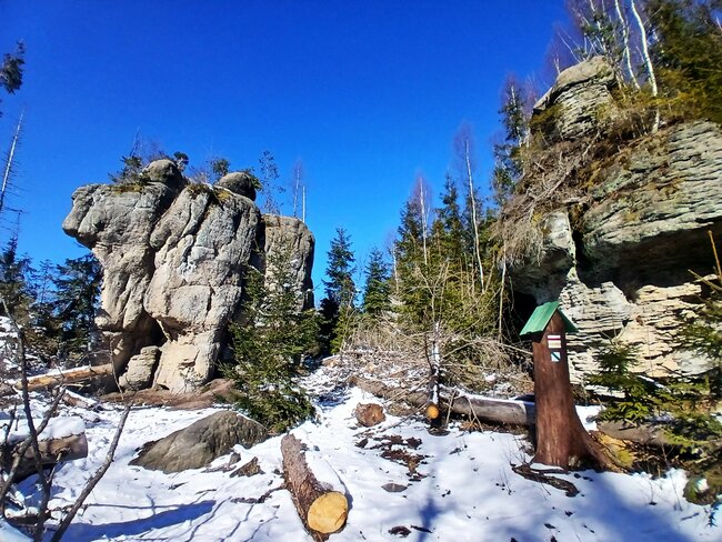 Za vambeřickým Poutníkem a skalními hřiby