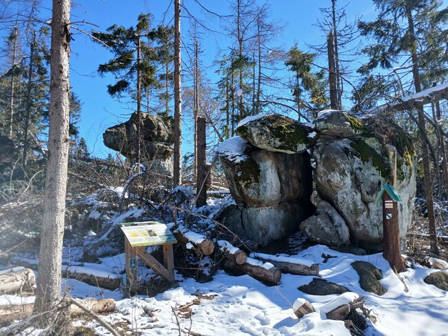 Za vambeřickým Poutníkem a skalními hřiby