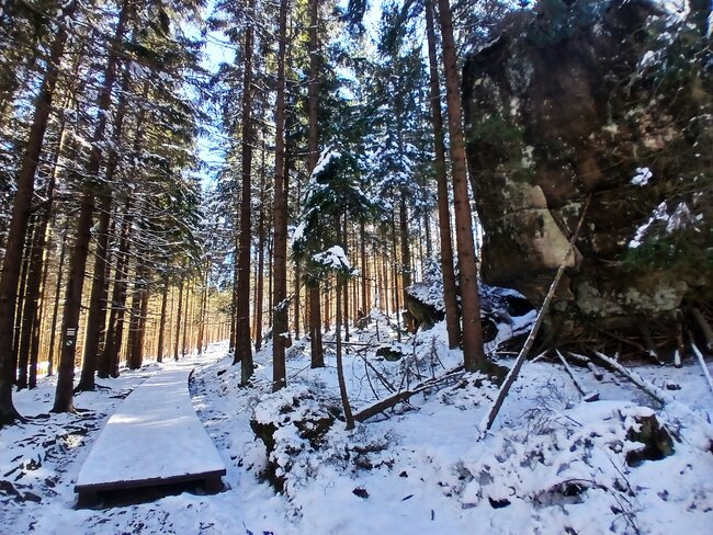 Za vambeřickým Poutníkem a skalními hřiby