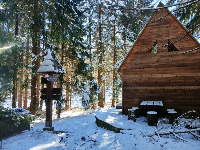 Za vambeřickým Poutníkem a skalními hřiby