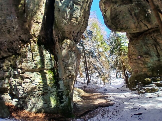 Za vambeřickým Poutníkem a skalními hřiby