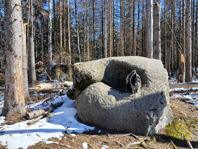 Za vambeřickým Poutníkem a skalními hřiby