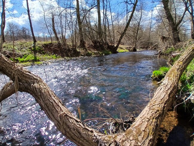 Nový česko-polský projekt bude mapovat Stěnavu