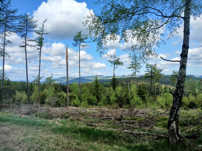 Z Janoviček po hřebeni k trůnu hraničářů