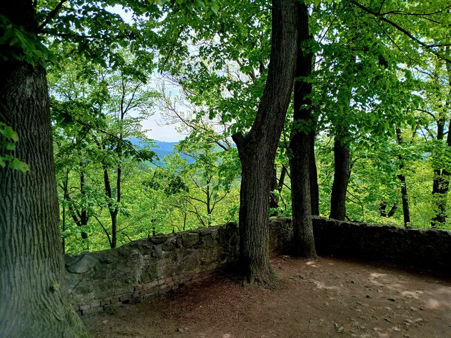 Grodno: Hrad, který měl štěstí 