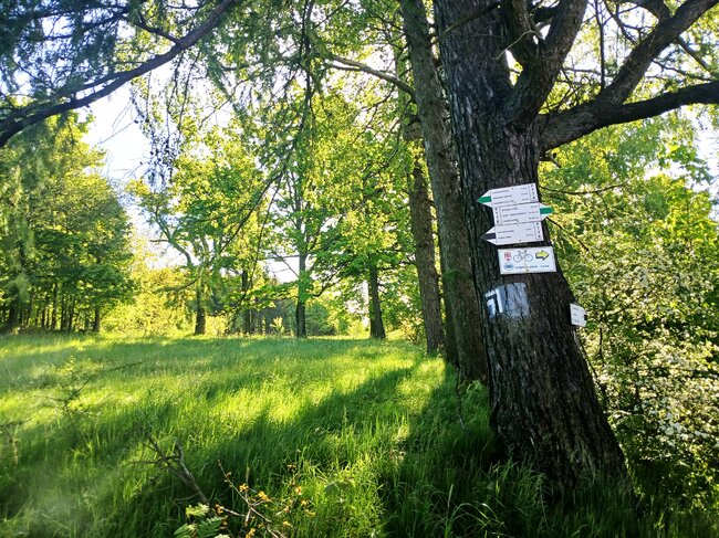 Do černého lesa k prameni Stěnavy