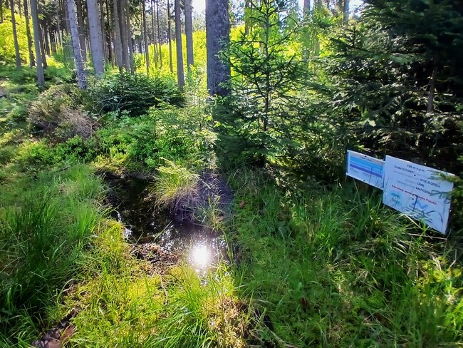 Do černého lesa k prameni Stěnavy