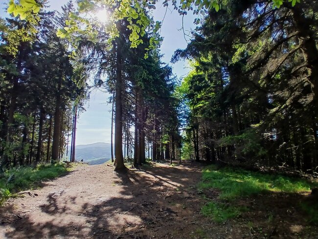 Do černého lesa k prameni Stěnavy