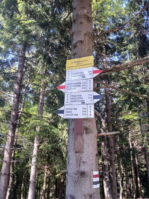 Do černého lesa k prameni Stěnavy