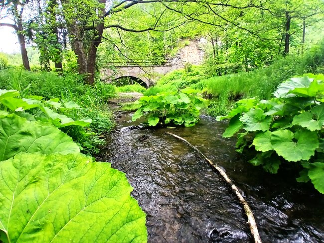 Maršovské údolí: útočiště skautů i tajemný hrádek