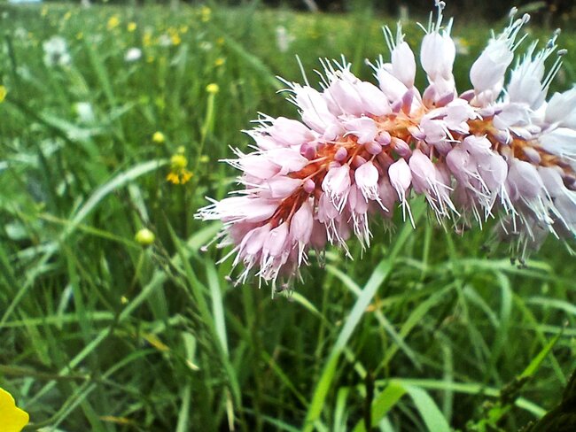 Maršovské údolí: útočiště skautů i tajemný hrádek