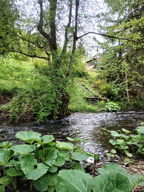 Maršovské údolí: útočiště skautů i tajemný hrádek