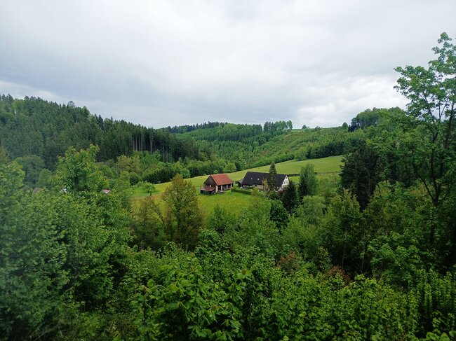 Maršovské údolí: útočiště skautů i tajemný hrádek