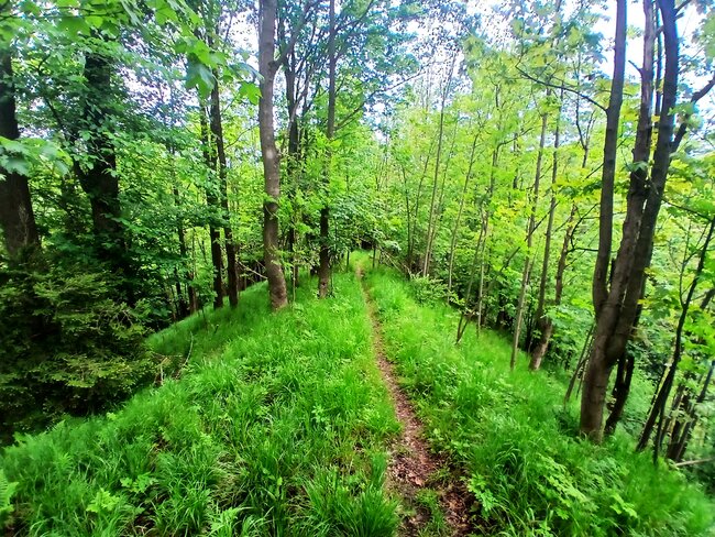 Maršovské údolí: útočiště skautů i tajemný hrádek