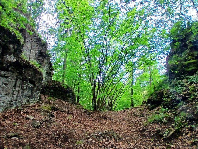 Maršovské údolí: útočiště skautů i tajemný hrádek