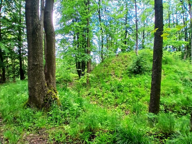 Maršovské údolí: útočiště skautů i tajemný hrádek