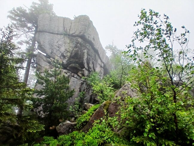 Přes pavoučí les k Dlouhým močálům