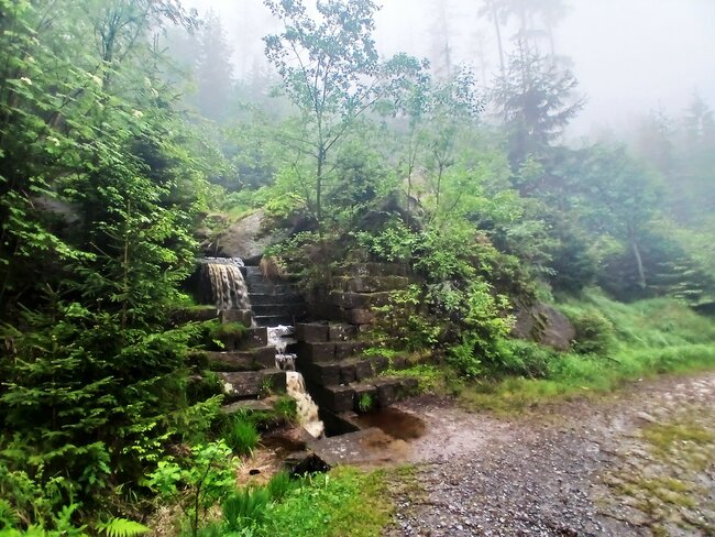 Přes pavoučí les k Dlouhým močálům