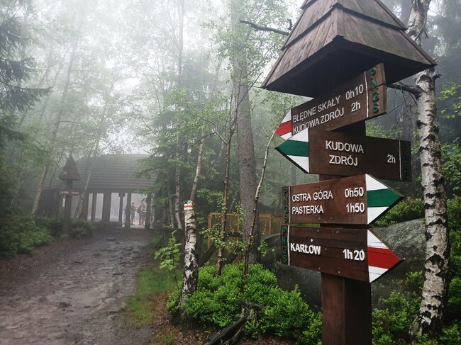 Přes pavoučí les k Dlouhým močálům