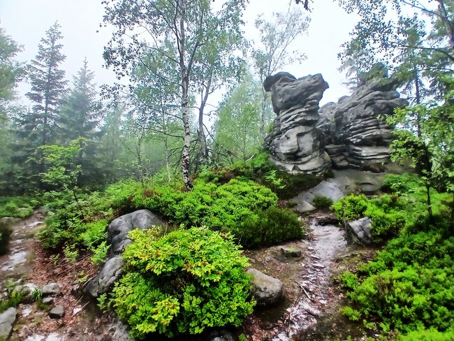 Přes pavoučí les k Dlouhým močálům