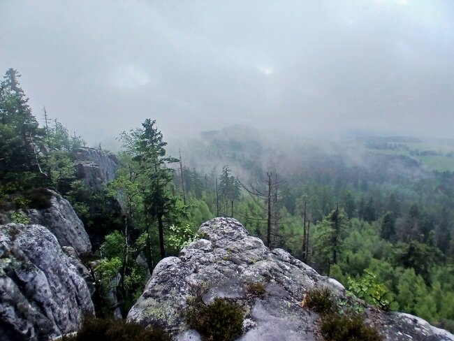 Přes pavoučí les k Dlouhým močálům