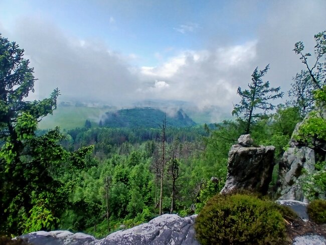 Přes pavoučí les k Dlouhým močálům