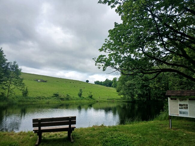 Na Strážní vrch nad ztichlou Libnou