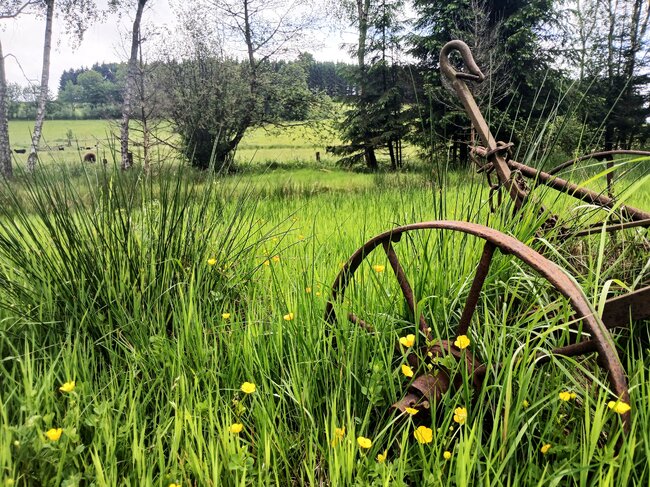 Na Strážní vrch nad ztichlou Libnou