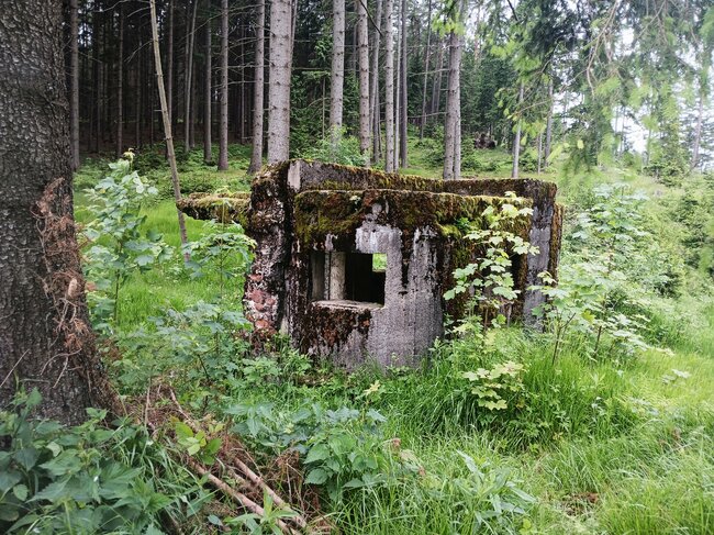 Na Strážní vrch nad ztichlou Libnou